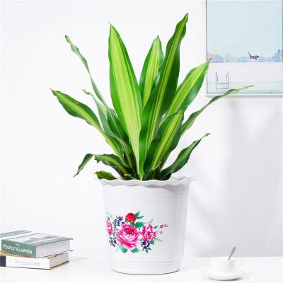 China Transitional Commercial White Glazed Pots Soft Round Plastic Indoor Flower Pots for sale