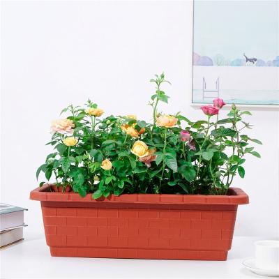 China Transitional Outdoor Bowl Planter Pot Large Vegetable Planting Pots For Plants for sale