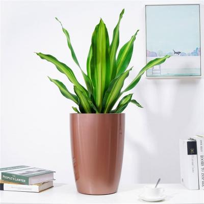 China Transitional Indoor Large Plastic Flower Planter Self Watering Pots For Decoration for sale