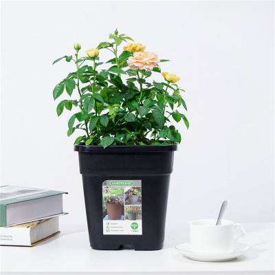 China Large Nursery Transitional Square Black With Tray 7 Gallon Plastic Flower Pots for sale