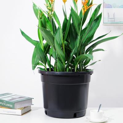 China Traditional Medium Vertical Large Flower Pot Plastic Outdoor Garden Nursery Pots for sale