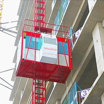 China Contemporary High Quality Engine Lifting Electric Crane For Scaffolding Platform for sale