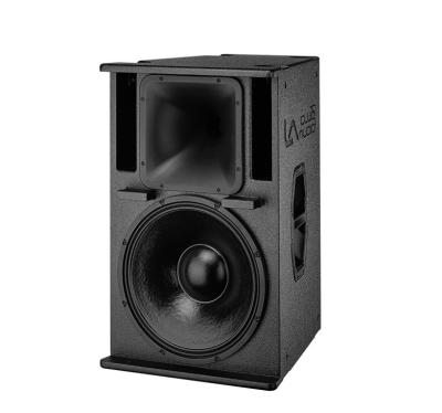 China Salas de fiesta y bares altavoz de línea RMS potencia 600W 26KG LA-C12 en venta