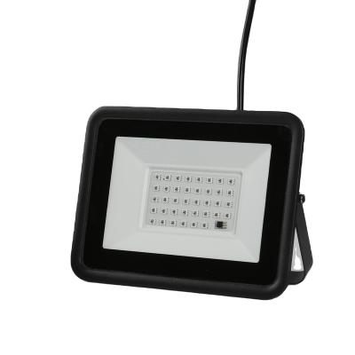 China Warehouse Manufacturer remote control 20watt 30watt 50watt 100watt Outdoor LED RGB Floodlight for sale