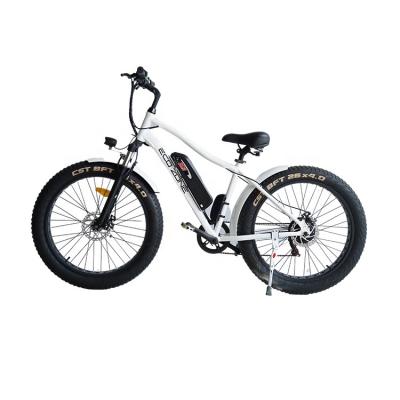 China Standard fat tire e bike mountain e bicycle full suspension china electric bicycle for sale