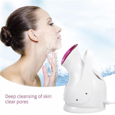 China Amazon Hot Sale Skin Care Mini Beauty Skin Care Professional Deep Cleansing Face Spa Use Deep Cleansing Nourishing Home Steamer for sale