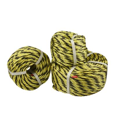 China Marine Multi-Use Coil Polyethylene Rope Twisted Racing Polyethylene Rope UV Resistant Rope for sale