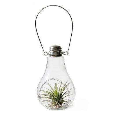 China Succulent Europe In Glass Vase Home Decor Light Bulb Shaped Mini Greenhouse Indoor Indoor Outdoor Hanging Garden DIY Gifts for sale