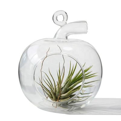 China Europe Clear Air Plant Mini Greenhouse Glass Hanging Apple Shape For Home Decor Garden DIY Indoor Outdoor Gifts for sale