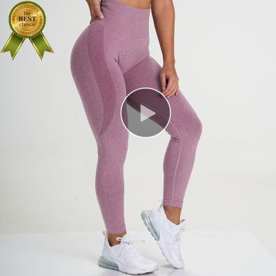 China Breathable High Waist Yogawear Sports Pants Gym Activewear Workout Clothing Legging For Women for sale