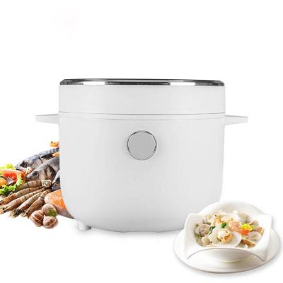 China RV 1 Liter-2 Liter Mini Rice Cooker Portable Smart Low Sugar Rice Cooker 12v 220v With 24 Hours Reserve Function for sale