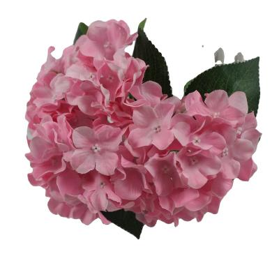 China Christmas tree blooms artificial silk hydrangea flower hydrangea flower wedding table decor hydrangea rose decorative valentines day for sale