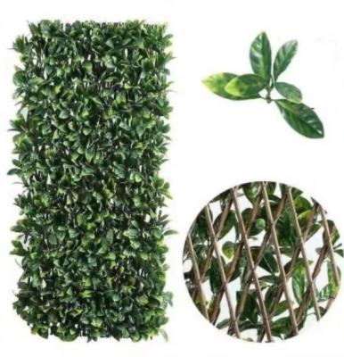 China Minimalist Plastic Expanding Vertical Expandable Faux Ivy Privacy Fence PE Laurel Leaf Trellis Leaf Fence Fence Decrative Plastic Garden Protect Us for sale