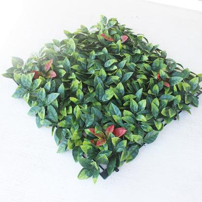 China New Rustic Plant Artificial Ivy Privacy Fence Screen Home Decoration Faux Boxwood Hedge Leaf Fence For Garden for sale