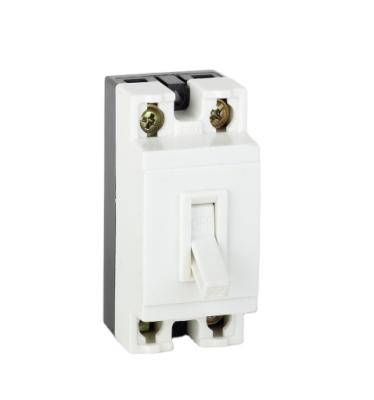 China Best Price NT50 Mini Circuit Breaker, 1.5 Miniature Circuit Breaker for sale