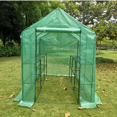 China Easily Assembled Hot Sale Cheap Indoor Outdoor Sturdy Portable Plant Green House Mini Walk In Greenhouse with Shelving for sale