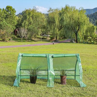 China Easily Assembled Wholesale transparent double window agricultural winter greenhouses equipment small tower shape green house for herb for sale