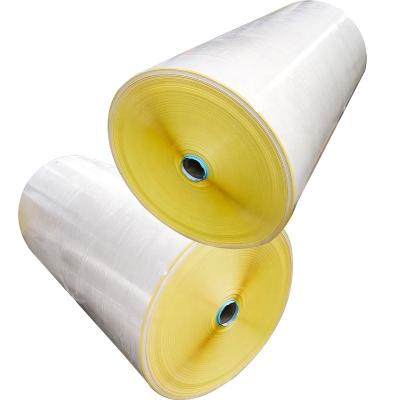 China Couch Adesivo 1530x1000 Roll White Hot Melt Labels Waterproof Coated Paper Adhesive Material Paper Elephant for sale