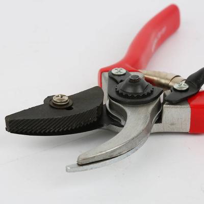 China Anti-Slip Handle Cheap Price Garden Tools Shears Professional Hand Cutting Tools for Tree Branch Cutter for sale