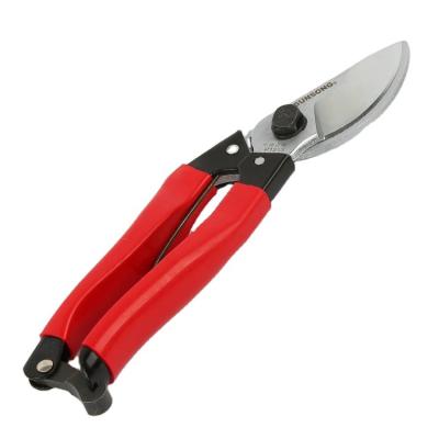 China Professional Anti-Slip Handle Garden Shears Hand Pruners Shears Garden Scissors for Flower Pruning for sale