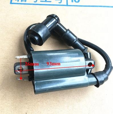 China Plastic +copper 250CC 260CC 300CC ATV Linhai Ignition Coil Pack For Quad Bike Buggy Go Kart for sale