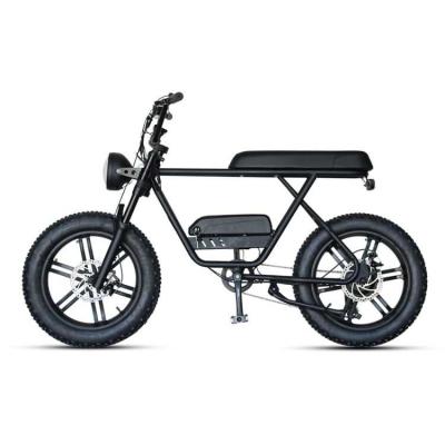 China Long Range Fat Tire Electric E-Bike Electric Dirt Bike Electric Mauntain Bicycle For Sale OEM ODM 20inch for sale