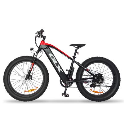 China Hot Sale 48V 750W Electric Sport E Bike Lithium Battery Snow Bike Men's and Women's Mountain Ebike City Ebike Fat Tire Electric Bike for sale