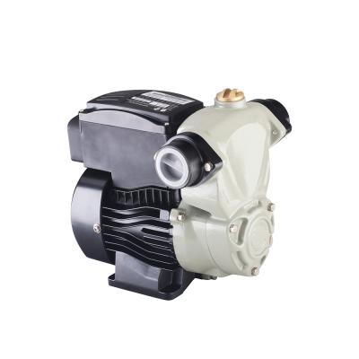 China Zhejiang Quiet Cheap Main Domestic Surface Water Pump 25m Small Water-Pump for sale