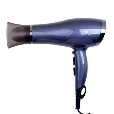 China Ionic Hair Dryer Blow Dryer Household Cold And Hot Ionic Function For Choice for sale