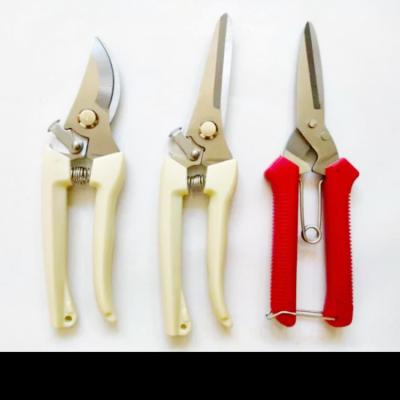 China Anti-skid Handle Stainless Steel Branch Scissors Pruning Pruning Picking Fruit Flower Scissors Garden Fruit Tree Flower Branch Grafting Gardening for sale