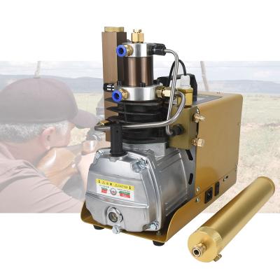 China 1pcs MOQ 220V 110V 30MPa 4500psi Electric Lubricated Air Rifle Pcp Pump Diving Compressor for Rifle Dive Tank for sale