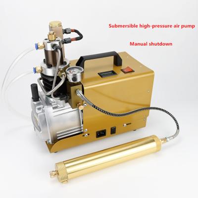 China Wholesale MPA 300 BAR Comprimido 4500 PSI 30 Machining China Aire Rifle Air Compressor High Pressure Electric Pump for sale