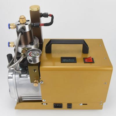 China 30MPa 4500PSI 110V-220V PCP air compressor pcp air gun lubricated hot pump for diving cylinder for sale