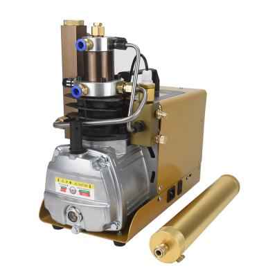 China China 30MPa 4500PSI 110V PCP air compressor pcp air gun lubricated pump for bottle diving sale for sale