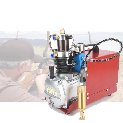 China Industrial utilities drop shipping 4500PSI 30MPA pcp air gun air compressor high pressure pump with filter for sale for sale