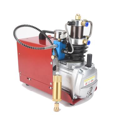 China 220V Lubricated High Pressure Pump Mini Electric Air Compressor Pump 30MPA 4500psi for pcp air gun for sale