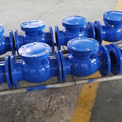 Cina Non Return One Way Double Swing Check Valve in vendita