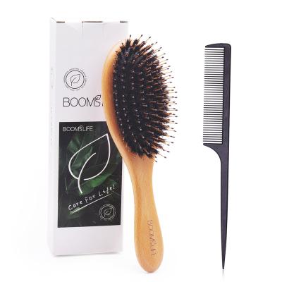 China Compact Custom Wooden Boar Hair Brush Brush Logo Boar Hair Hair Brush Bamboo for sale