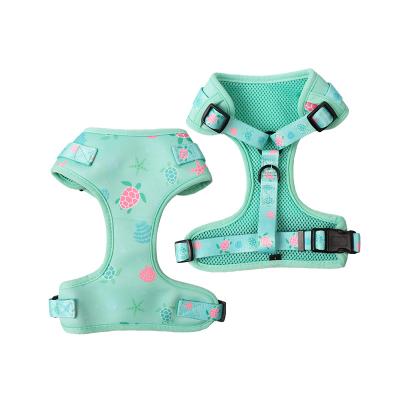 China OEM Wholesale Padded Comfortable Adjustable Dog Harnesses With Matching Leashes And Collars Sets for sale