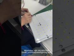 Solar Garden Light Chip And Lens Installation Process.