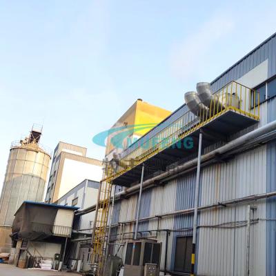 China Dog Cat Customized turnkey project dry pet dog cat food extruder production line for sale