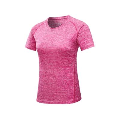 China Sustainable Wholesale Fashion Fitness Sports Clothes For Women Short Sleeves Women T-Shirt for sale