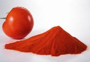 Chine Machines de production alimentaire d'efficacité du feu vif, poudre de tomate faisant la machine à vendre