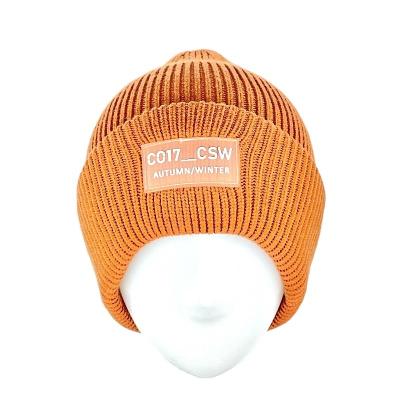 China Fashion Unisex Acrylic Embroidered Skull Cap Custom Made White High Quality Comfortable \ Durable Logo Knitted Winter Hats Wholesale for sale