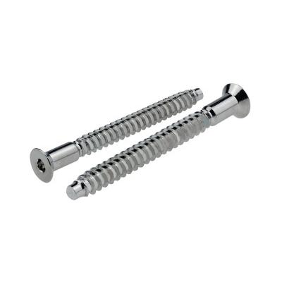 China Custom Made Hexagon Socket Long Pan Head Carbon Steel Nickel Plated Screws In China for sale