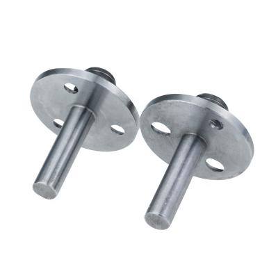 China Pan Custom Made Stainless Steel Natural Color Special Screw Fastener From China for sale