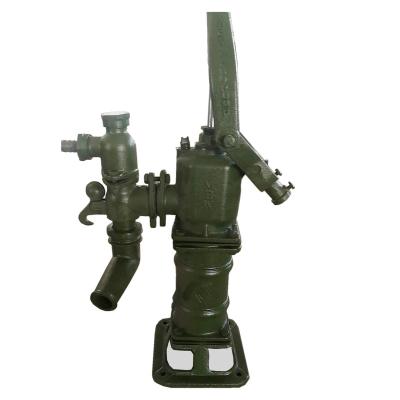 China Agricultural Irrigation Water Pump Cast Iron Antique Hand Water Pump For Deep Well for sale