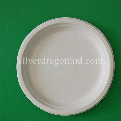 China Biodegradable Disposable Sugarcane Pulp Paper Plate, 10 inch Bagasse  round plate, P005 for sale