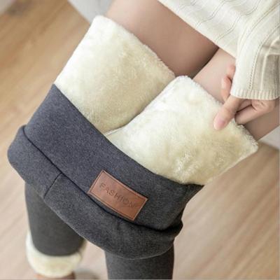 China Antibacterial Women Winter Thick Velvet Wool Pants High Waist Underpant Kick Stretch Pants Cashmere Pencil Pant Soild Color Thin Gaiters for sale