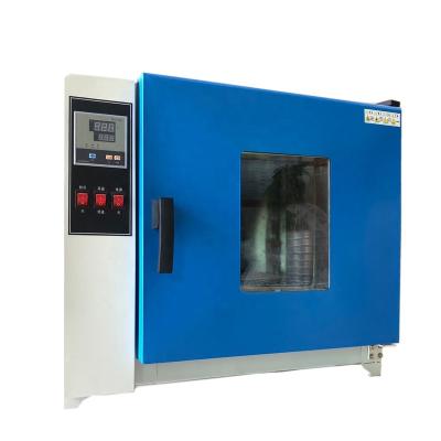 China Medicine Processing DHG-3 225L Galvanized Steel Hot Fan Curing Oven For Laboratory for sale